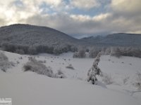 2017-12-29 V. del Morretano 009